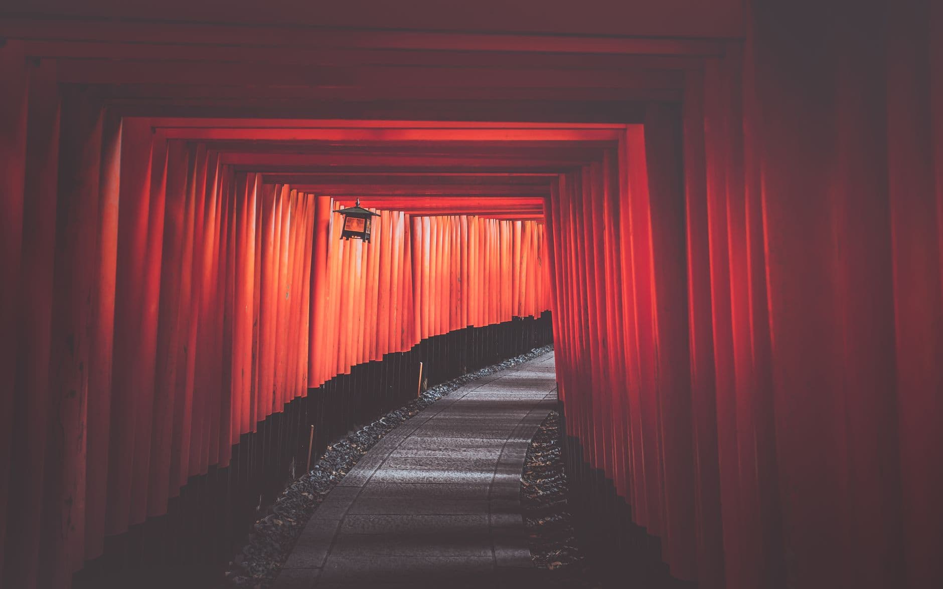 El camino de torii naranjas de Fushimi Inari