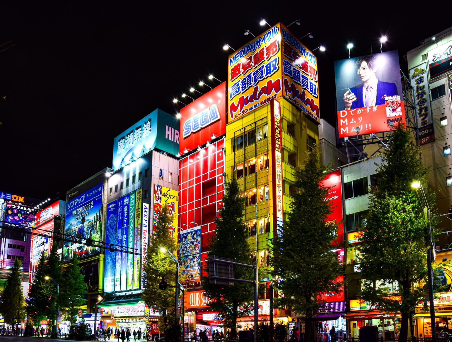 Los carteles luminosos de Akihabara al caer la noche