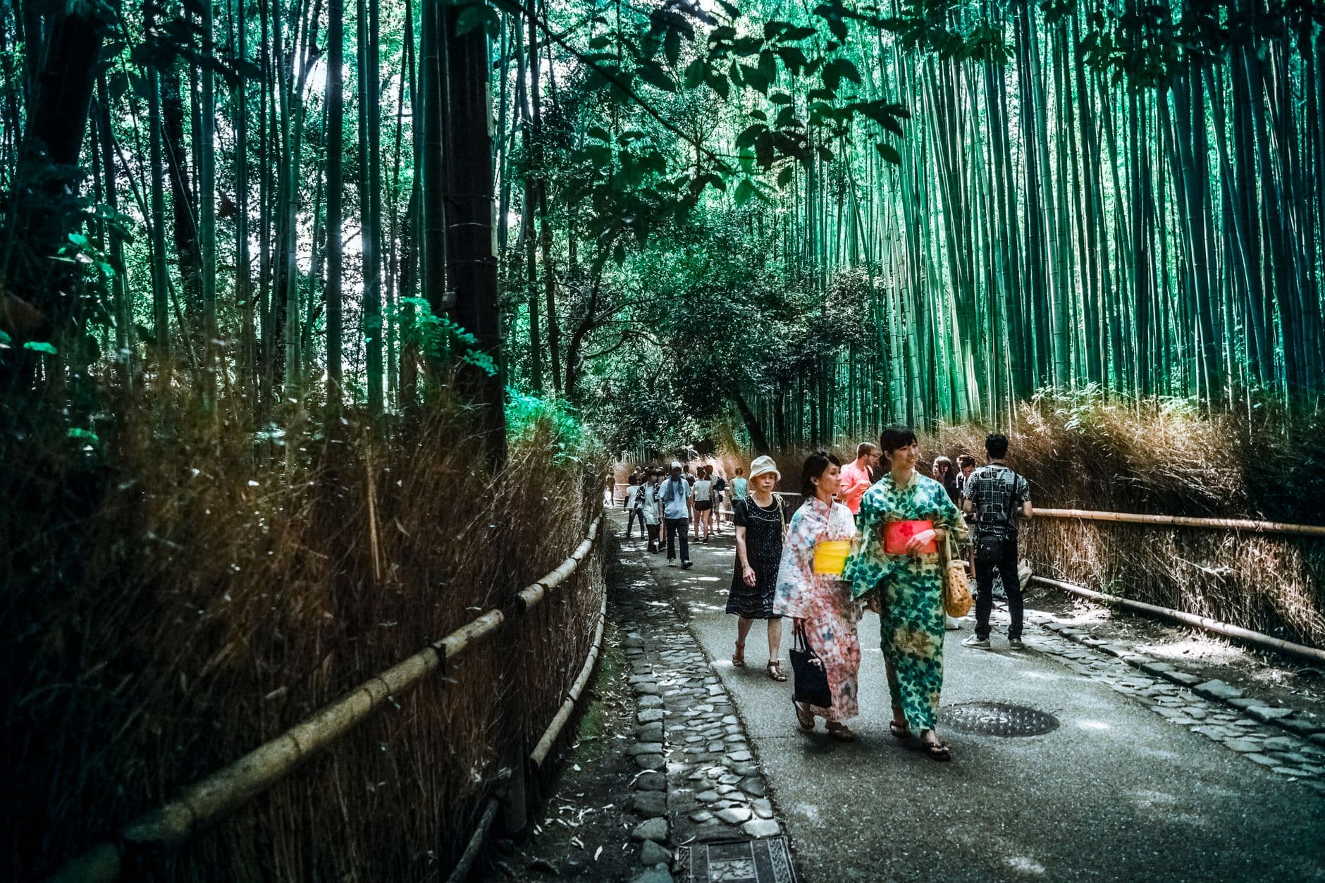 El sendero del bosque de bambú de Arashiyama