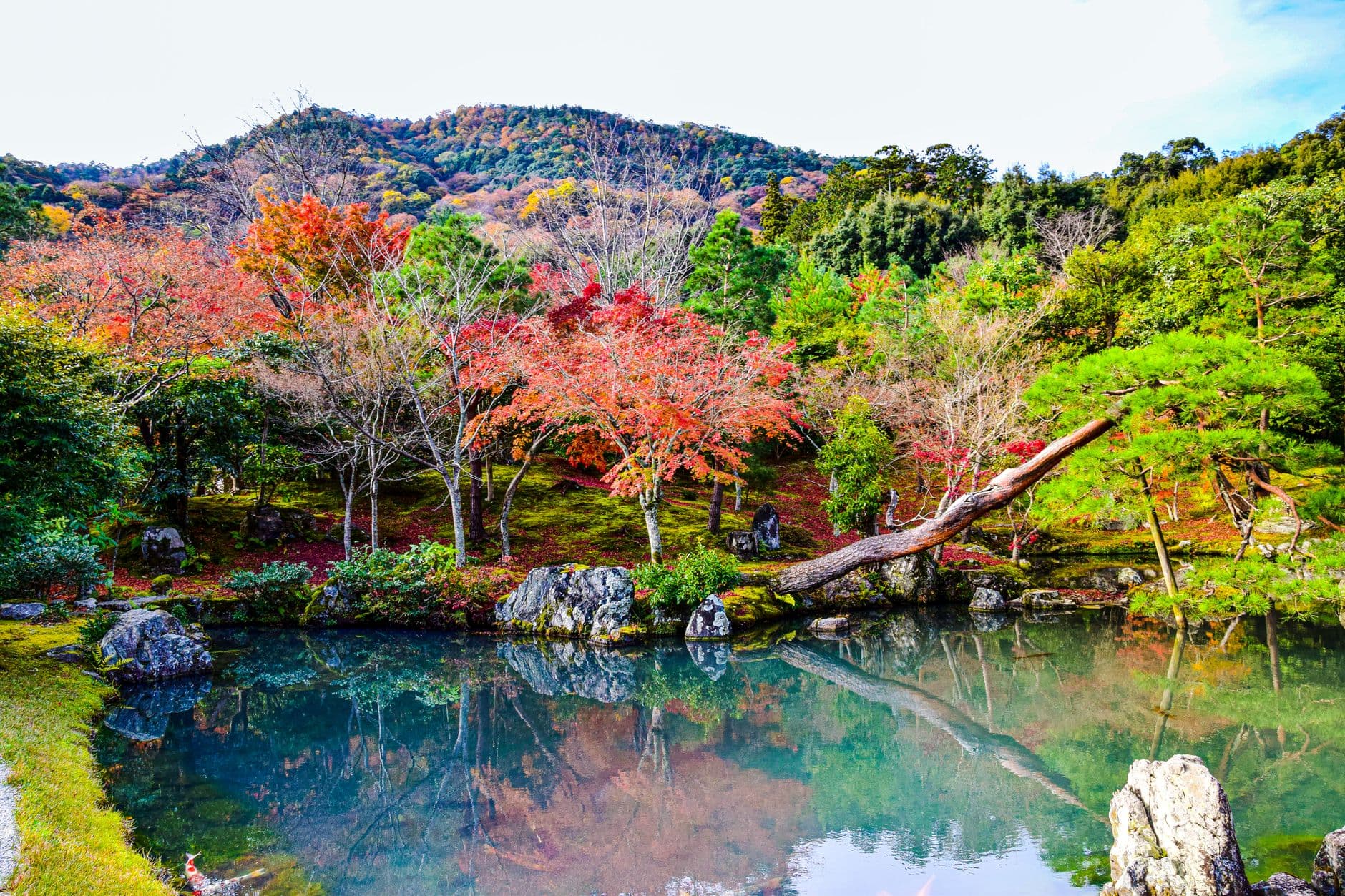 La alfombra de musgo y la cabaña de Gio-ji, en el norte de Arashiyama