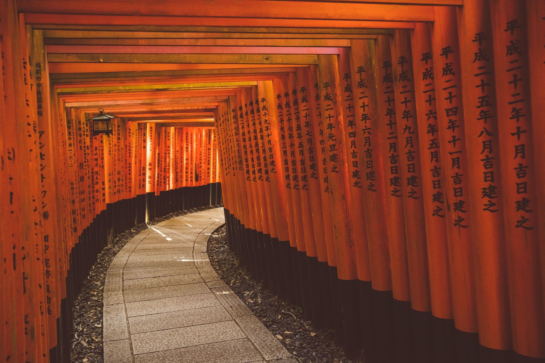 El túnel de torii de Fushimi Inari