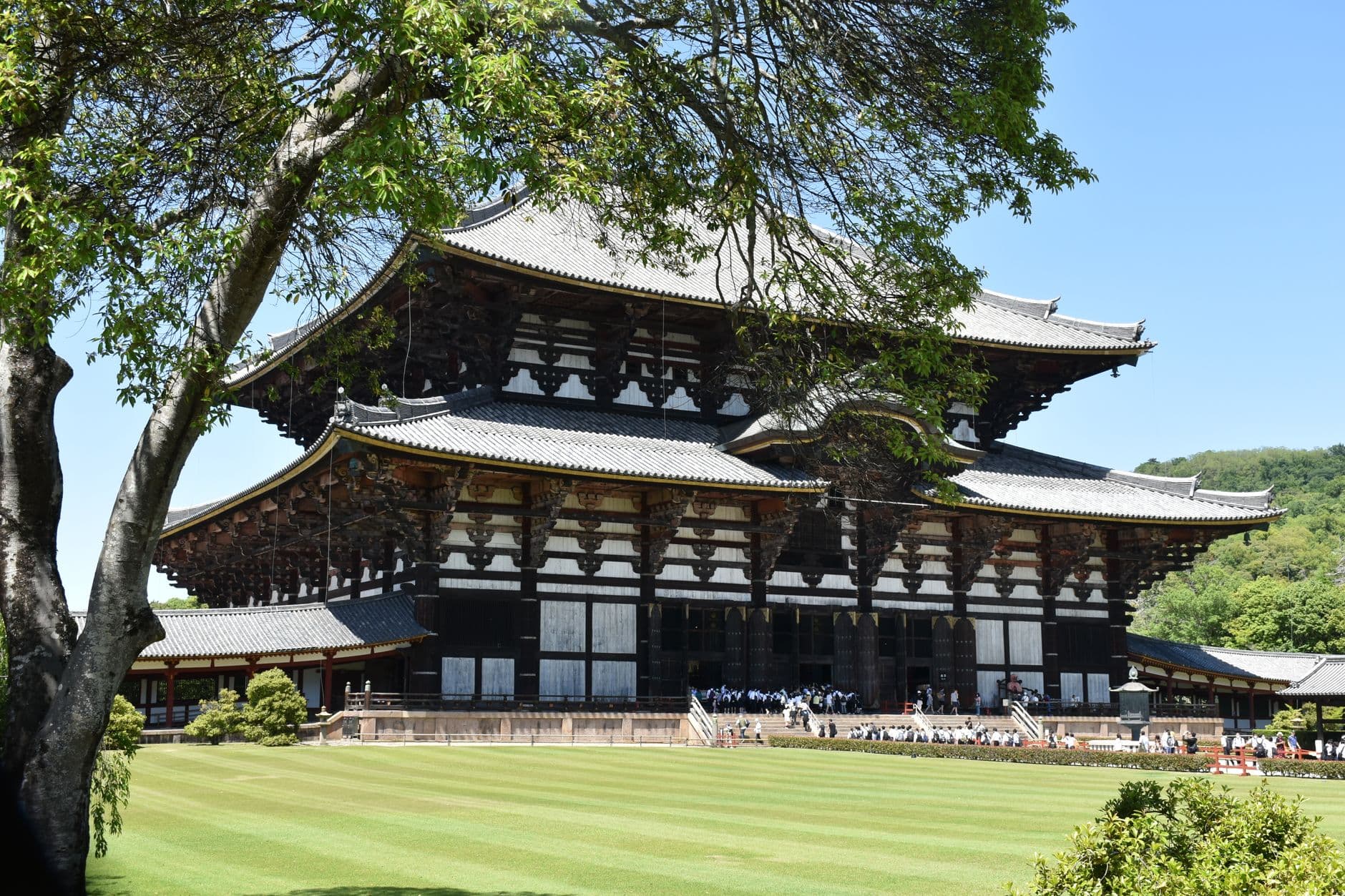 El Daibutsu-den del Tōdai-ji, con ciervos en la explanada