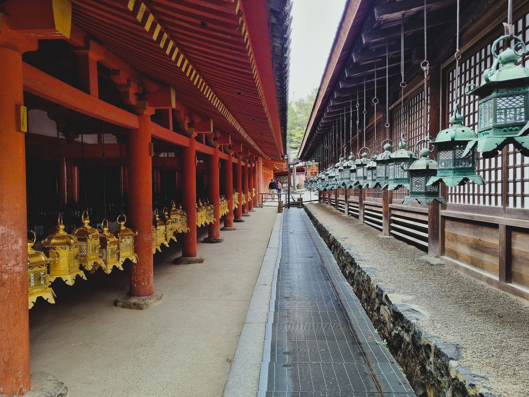 El camino de faroles de piedra de Kasuga Taisha entre cedros